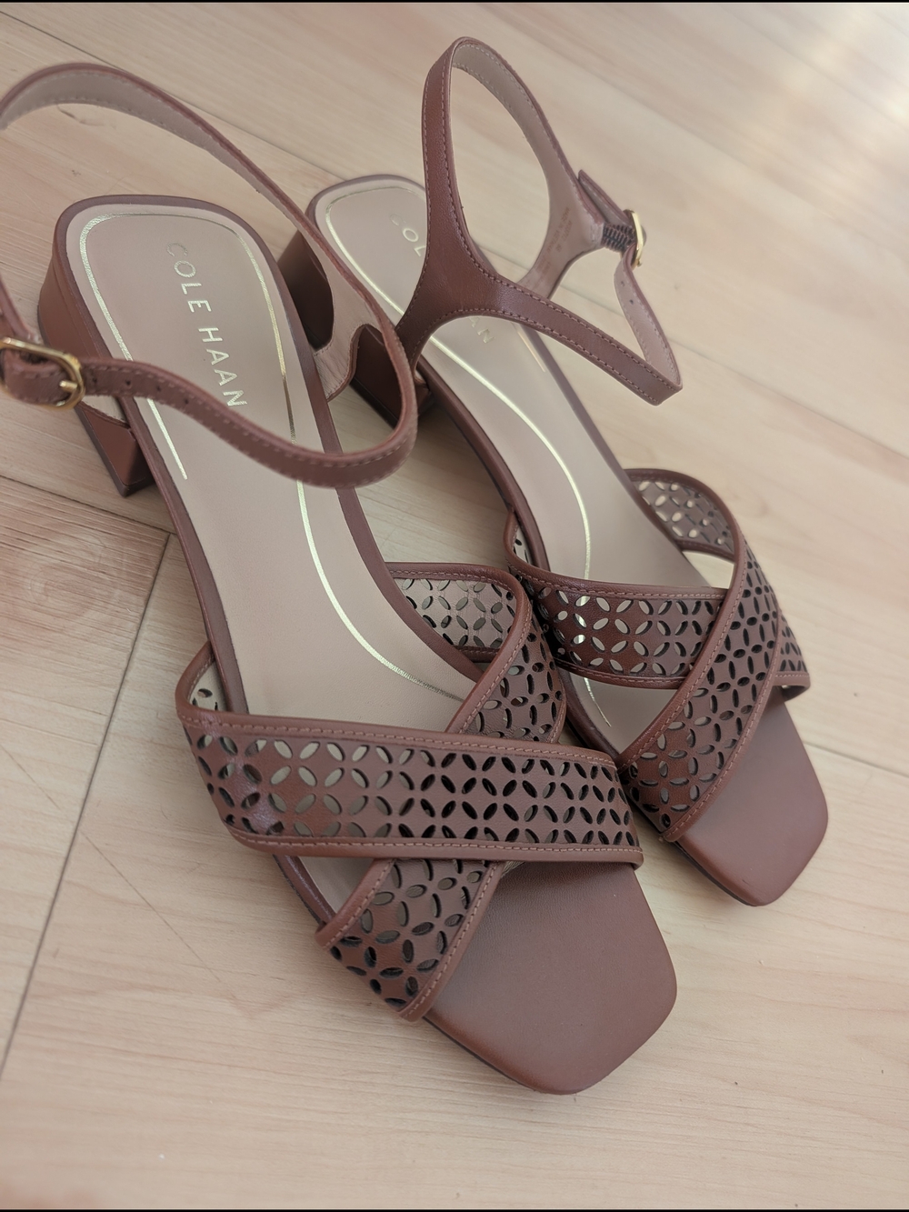 Cole Haan Women's Brown Ankle Strap Block Heel Sandals